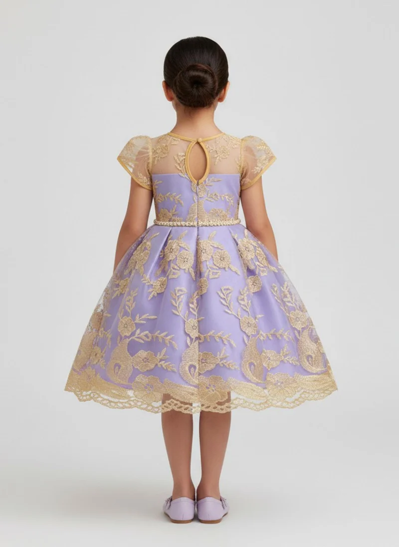 babyqlo Girls Lavender Embroidered Tulle Party Dress